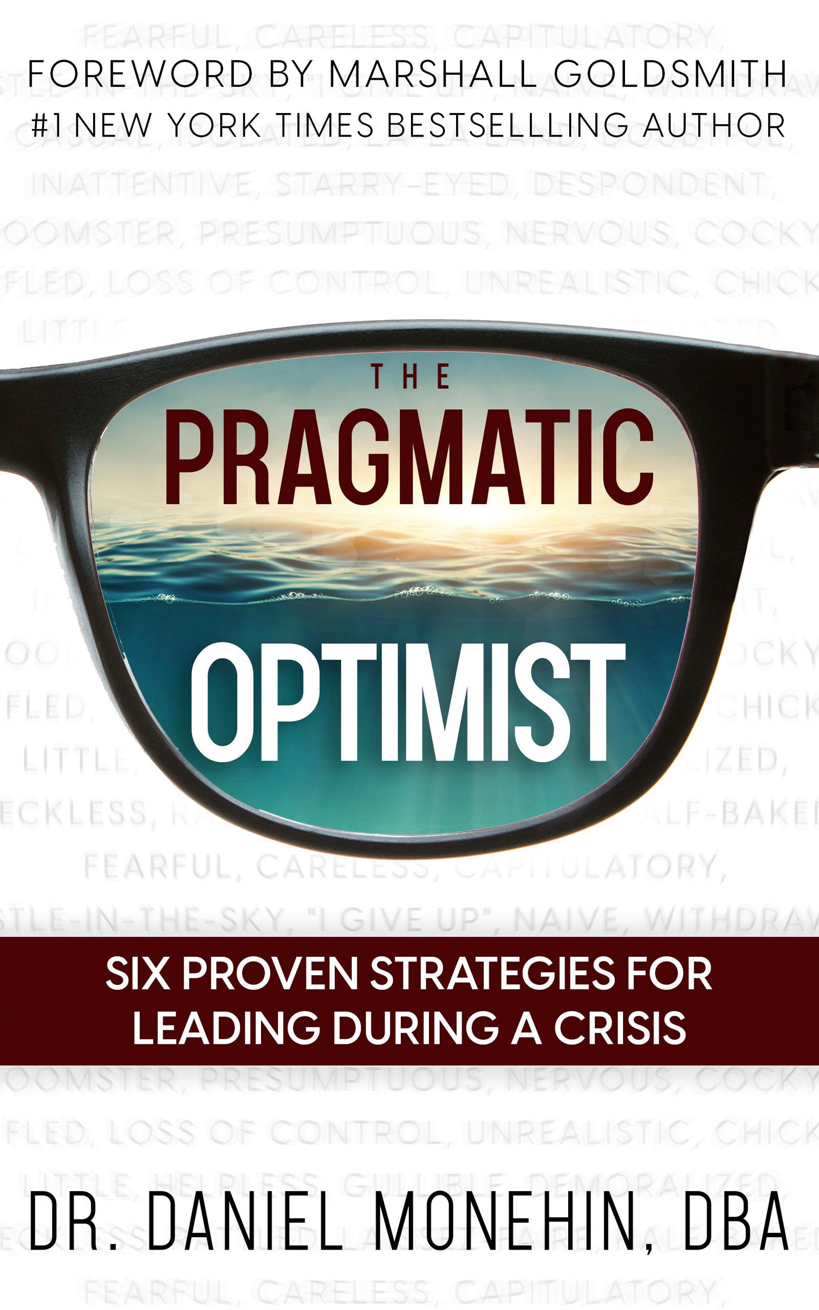 Pragmatic Optimist